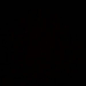 Meet your Posher, Sheila